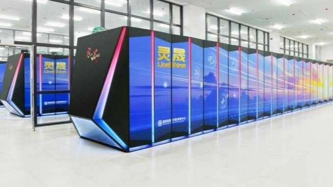 莽小五上树