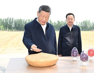 台湾专家：两岸合作可助缓解台湾AI产业用电压力