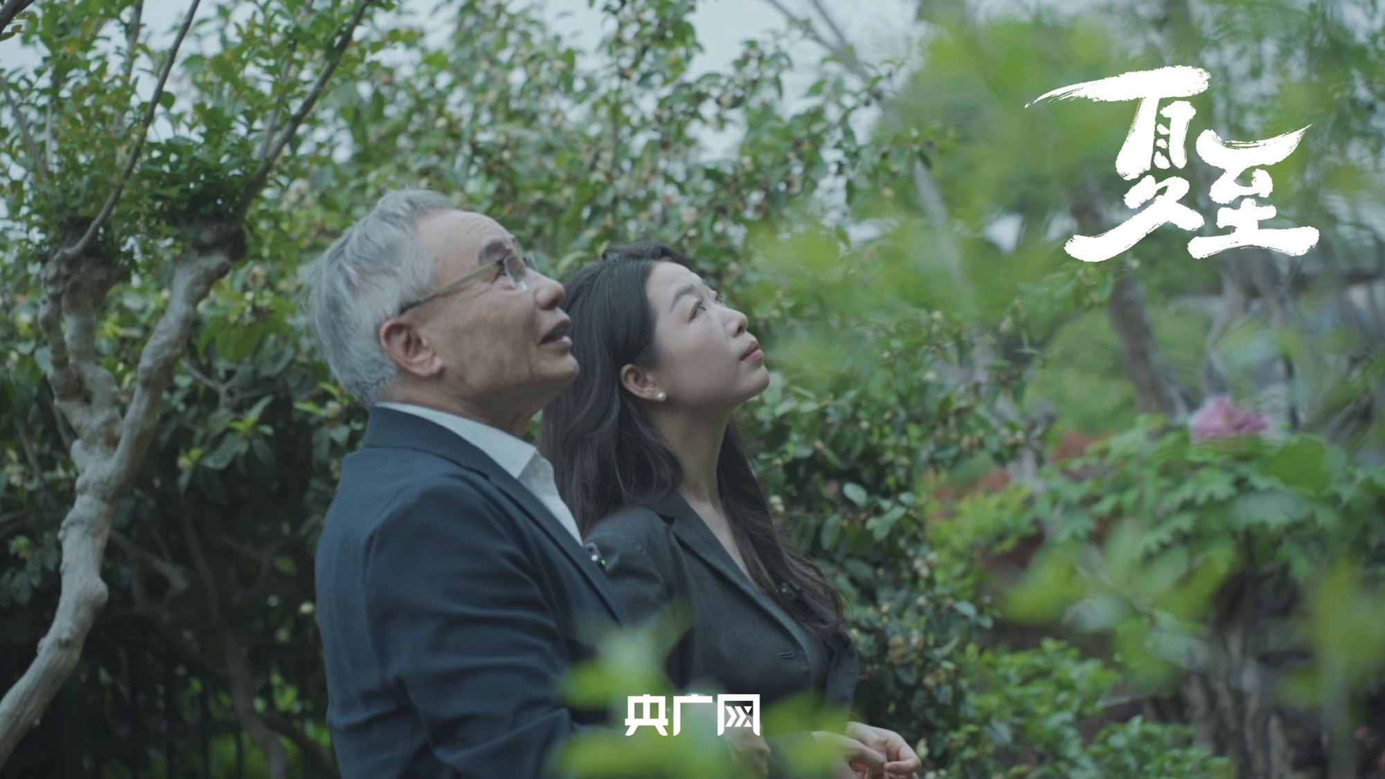 每日经济新闻