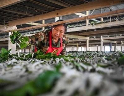 提出“建设有中国特色的社会主义”(伟大征程)