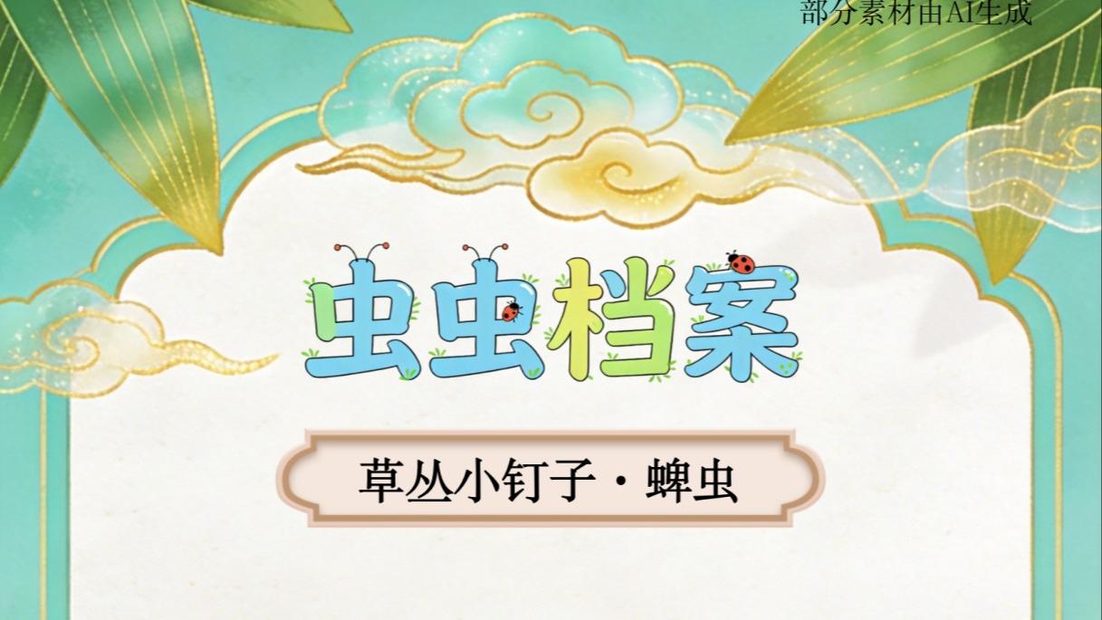 首次回收星舰成功