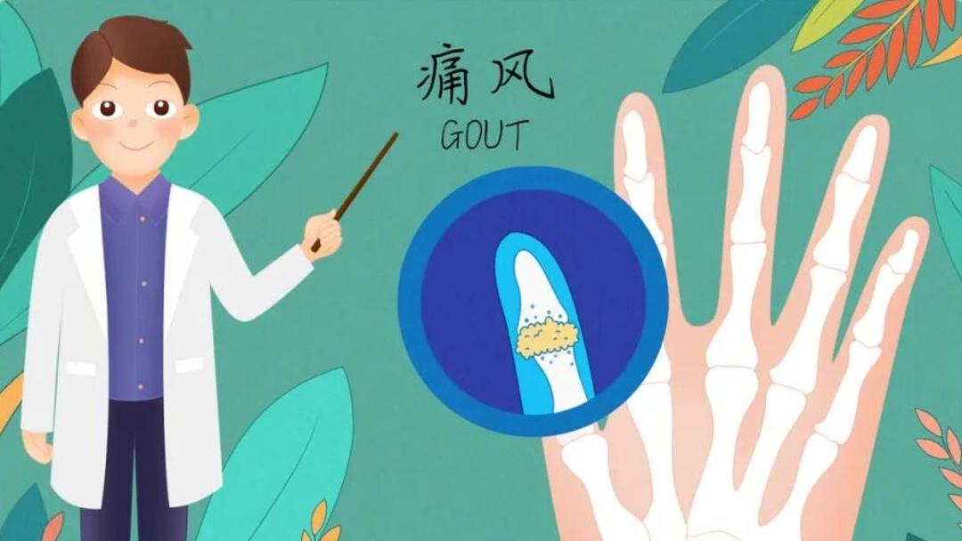高清在线播放